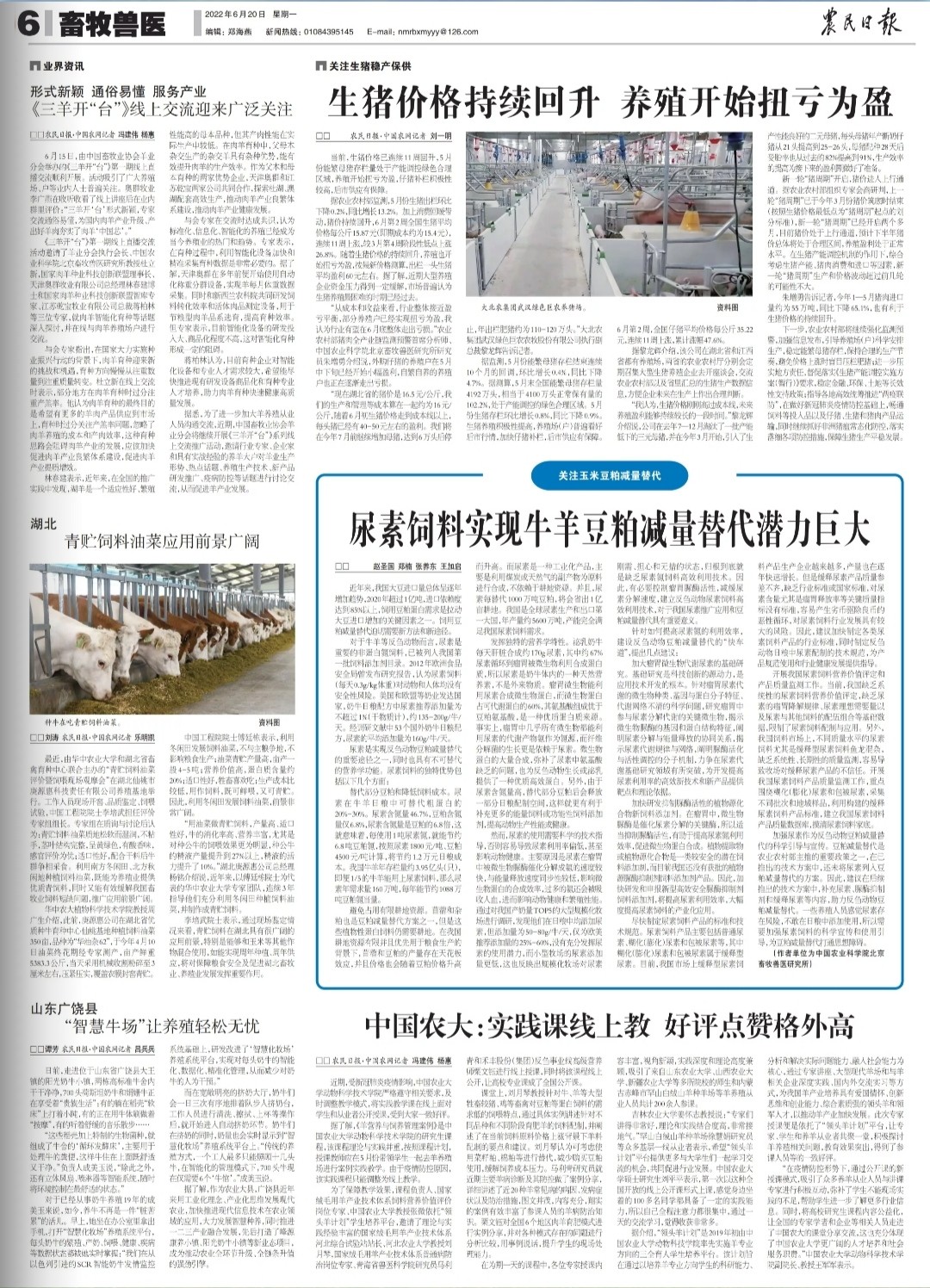 農(nóng)民日?qǐng)?bào)：尿素飼料實(shí)現(xiàn)牛羊豆粕減量替代潛力巨大