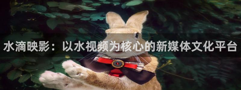 美麗的小蜜桃電影在線播放：水滴映影：以水視頻為核心的新媒體文化平臺